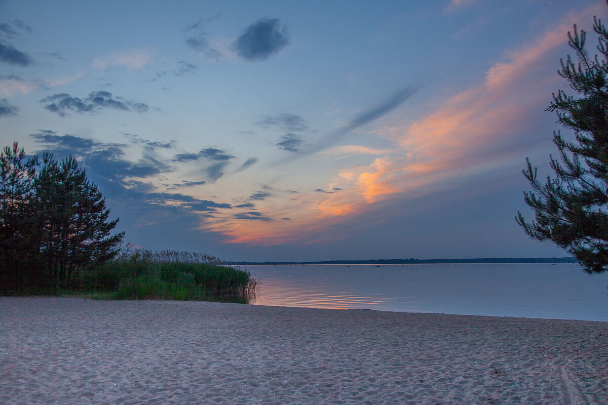 Piaszczysta plaża i sosny